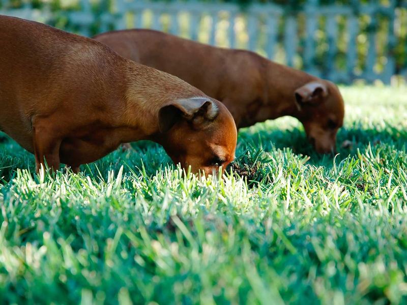 sudoku puzzle game screenshot 1