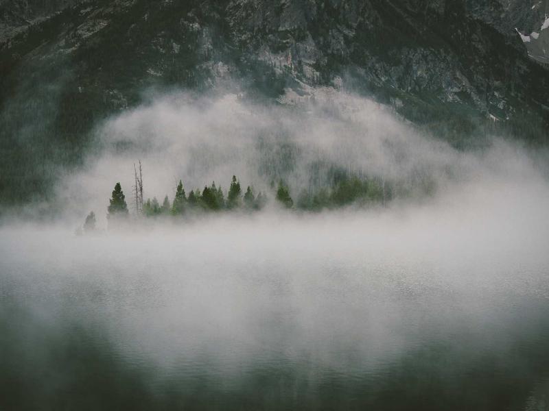 community screenshot 5